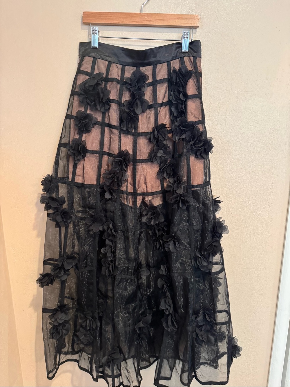 Gothic Black Floral Fairy Appliqué Tulle Maxi Skirt W/Nude Shorts - Picture 2 of 5